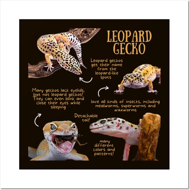 Animal Facts - Leopard Gecko Wall Art by Animal Facts and Trivias